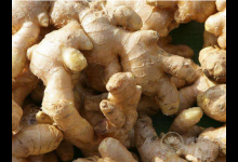 無(wú)論男女,睡前偷偷拿生姜做這事,身體悄悄出現(xiàn)3大驚喜!