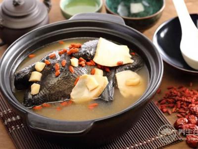 滋補(bǔ)烏骨雞的養(yǎng)生功效