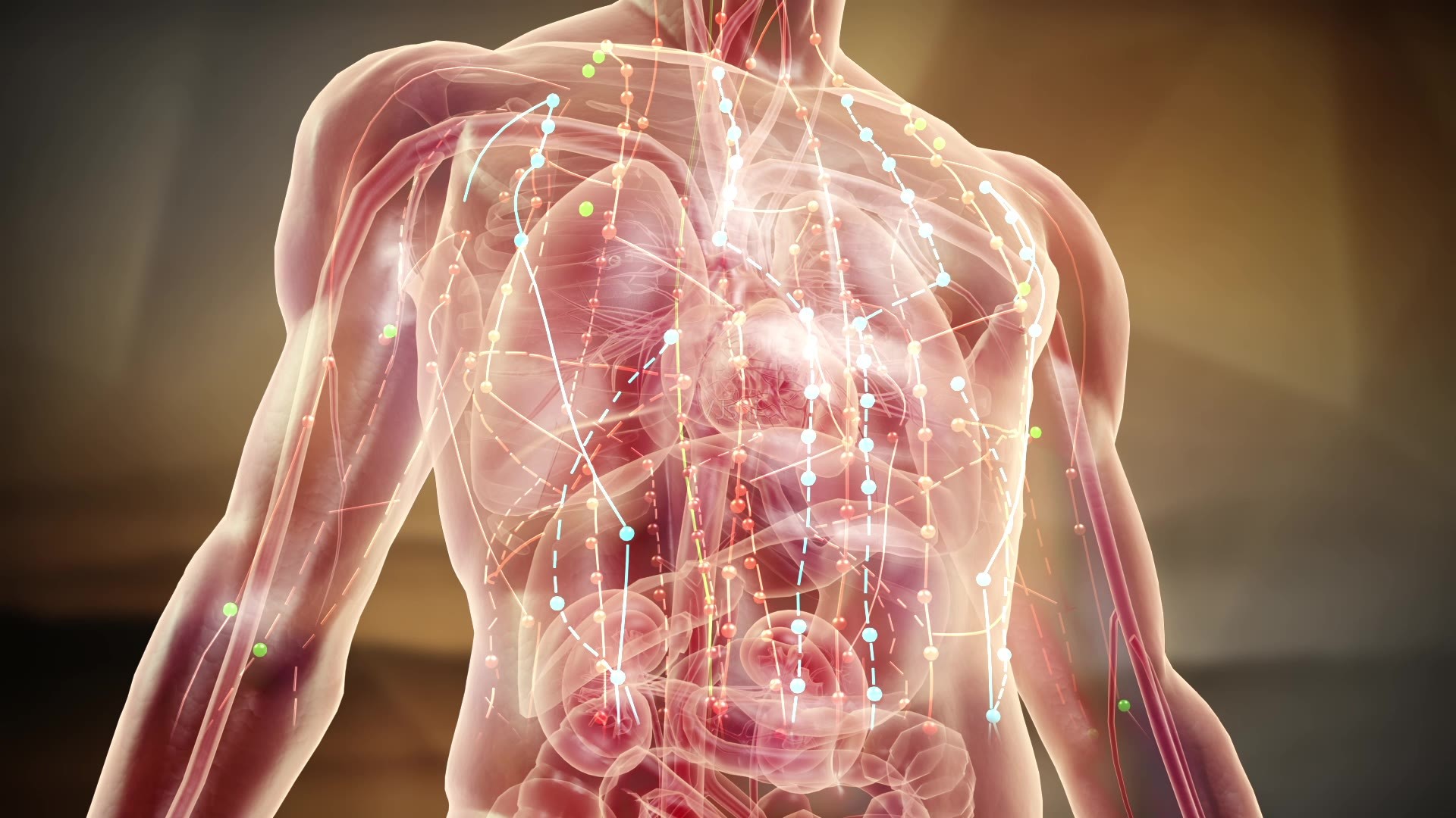 經絡堵塞的話如何能夠快速疏通全身 經絡堵塞的話如何能夠快速疏通全身