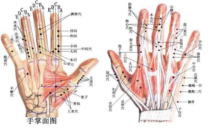 在家如何自己動手通經(jīng)絡(luò) 通經(jīng)絡(luò)的方法 在家如何自己動手通經(jīng)絡(luò) 通經(jīng)絡(luò)的方法