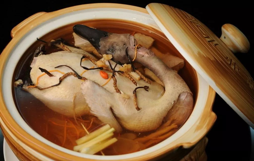 海參老鴨湯怎么做更有營養也更好吃 海參老鴨湯怎么做更有營養也更好吃