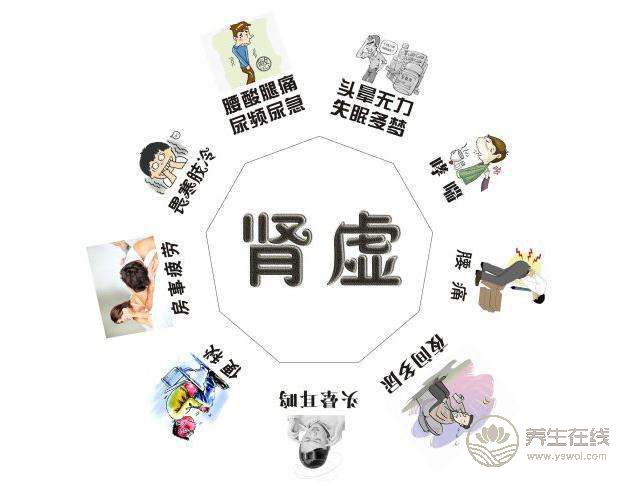 腎虛不可不知的食療方子 腎虛不可不知的食療方子