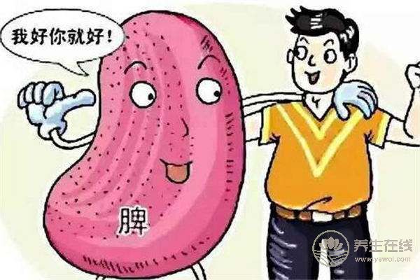 脾虛導致飯后犯困如何食療