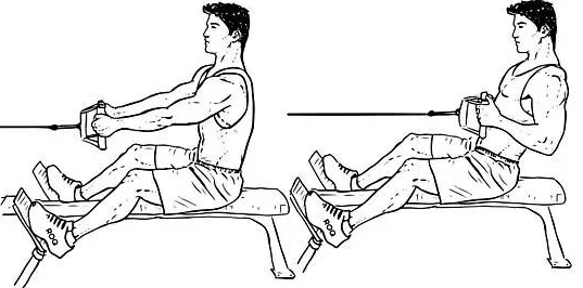 健身新手初步健身計劃的安排方法