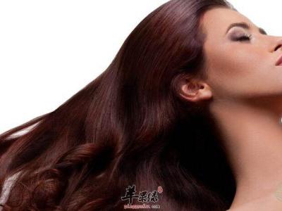 食療加日常護理 還你烏黑秀發