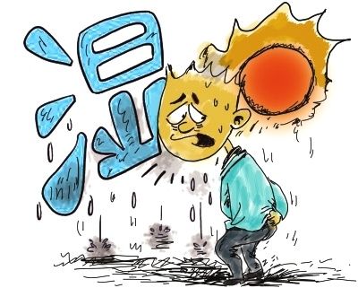 可以有效去除體內濕熱的藥物與飲食 可以有效去除體內濕熱的藥物與飲食