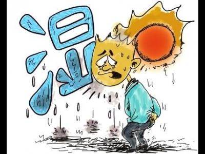 可以有效去除體內濕熱的藥物與飲食