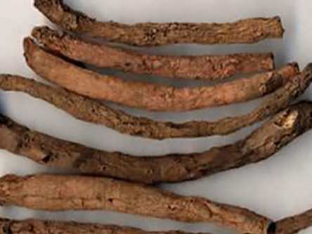 仙茅的最大用量以及仙茅的正確用法