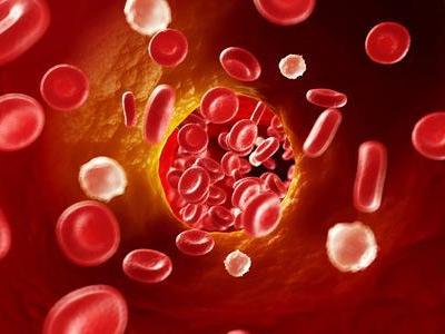 人體內的血液含量有多少作用是什么