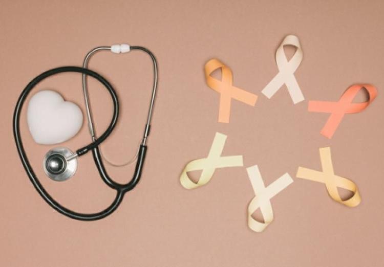 乳腺癌分為哪些種類有哪幾種等級-易網健康<a href=http://www.jsjjzhkt.cn/jkys/ target=_blank class=infotextkey>養生</a>網 乳腺癌分為哪些種類有哪幾種等級