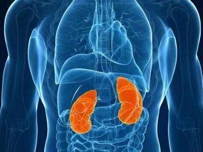 腎對于身體的重要性 中醫治療腎病的方法