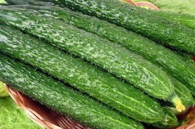 夏天到了有哪些與黃瓜相關的小菜