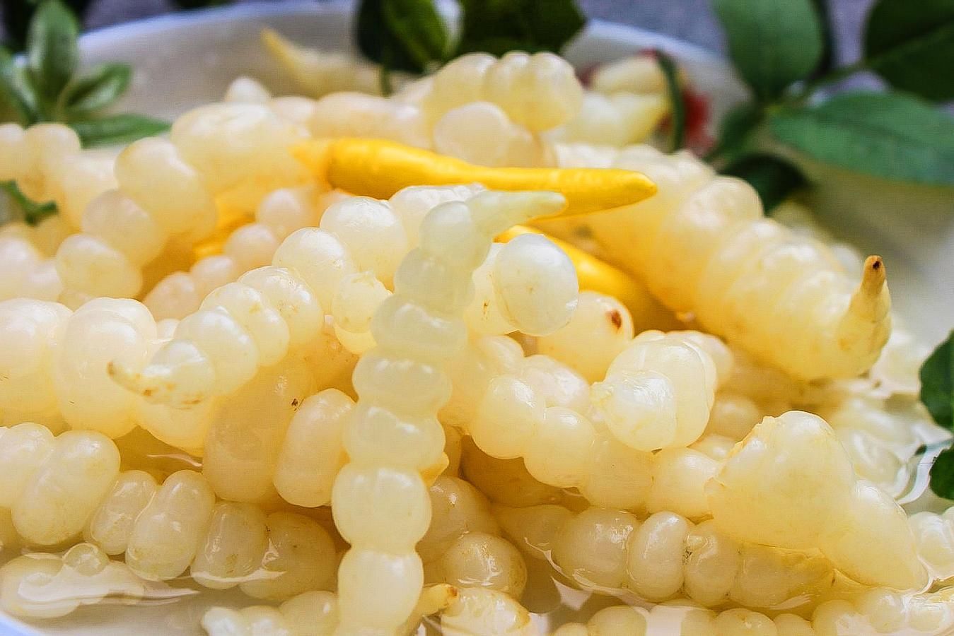 我們平時經常吃的地環是否可以生吃呢-易網健康<a href=http://www.jsjjzhkt.cn/jkys/ target=_blank class=infotextkey>養生</a>網 我們平時經常吃的地環是否可以生吃呢