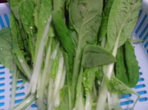 小白菜的做法需要煮多久比較容易熟-易網健康<a href=http://www.jsjjzhkt.cn/jkys/ target=_blank class=infotextkey>養生</a>網 小白菜的做法需要煮多久比較容易熟