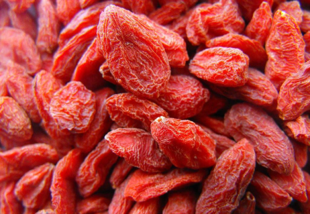 服用枸杞對于身體有哪些方面的好處-易網(wǎng)健康<a href=http://www.jsjjzhkt.cn/jkys/ target=_blank class=infotextkey>養(yǎng)生</a>網(wǎng) 服用枸杞對于身體有哪些方面的好處