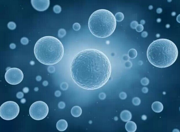 如何消耗身體中含量過多的脂肪占比-易網健康<a href=http://www.jsjjzhkt.cn/jkys/ target=_blank class=infotextkey>養生</a>網 如何消耗身體中含量過多的脂肪占比