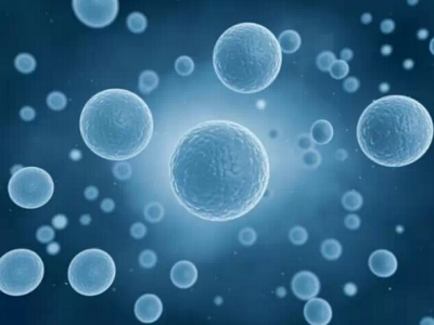 如何消耗身體中含量過多的脂肪占比