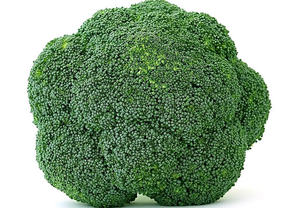 生活中有哪些排油脂效果比較好食物