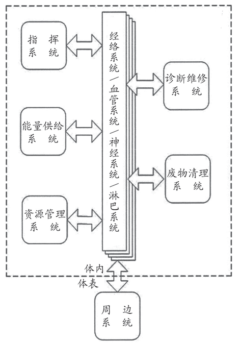 從中醫(yī)西醫(yī)的對比中 看人體的系統(tǒng)奧秘