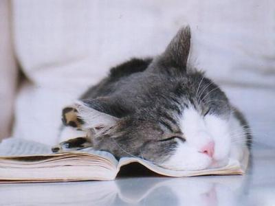 睡覺的時候出現(xiàn)壓的肩膀疼情況原因