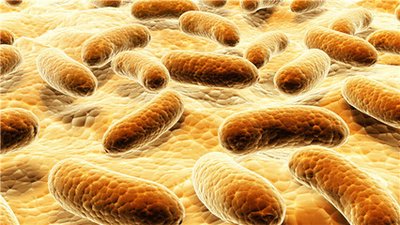 生活中哪些食物腦炎患者不適合食用-易網健康<a href=http://www.jsjjzhkt.cn/jkys/ target=_blank class=infotextkey>養生</a>網 生活中哪些食物腦炎患者不適合食用