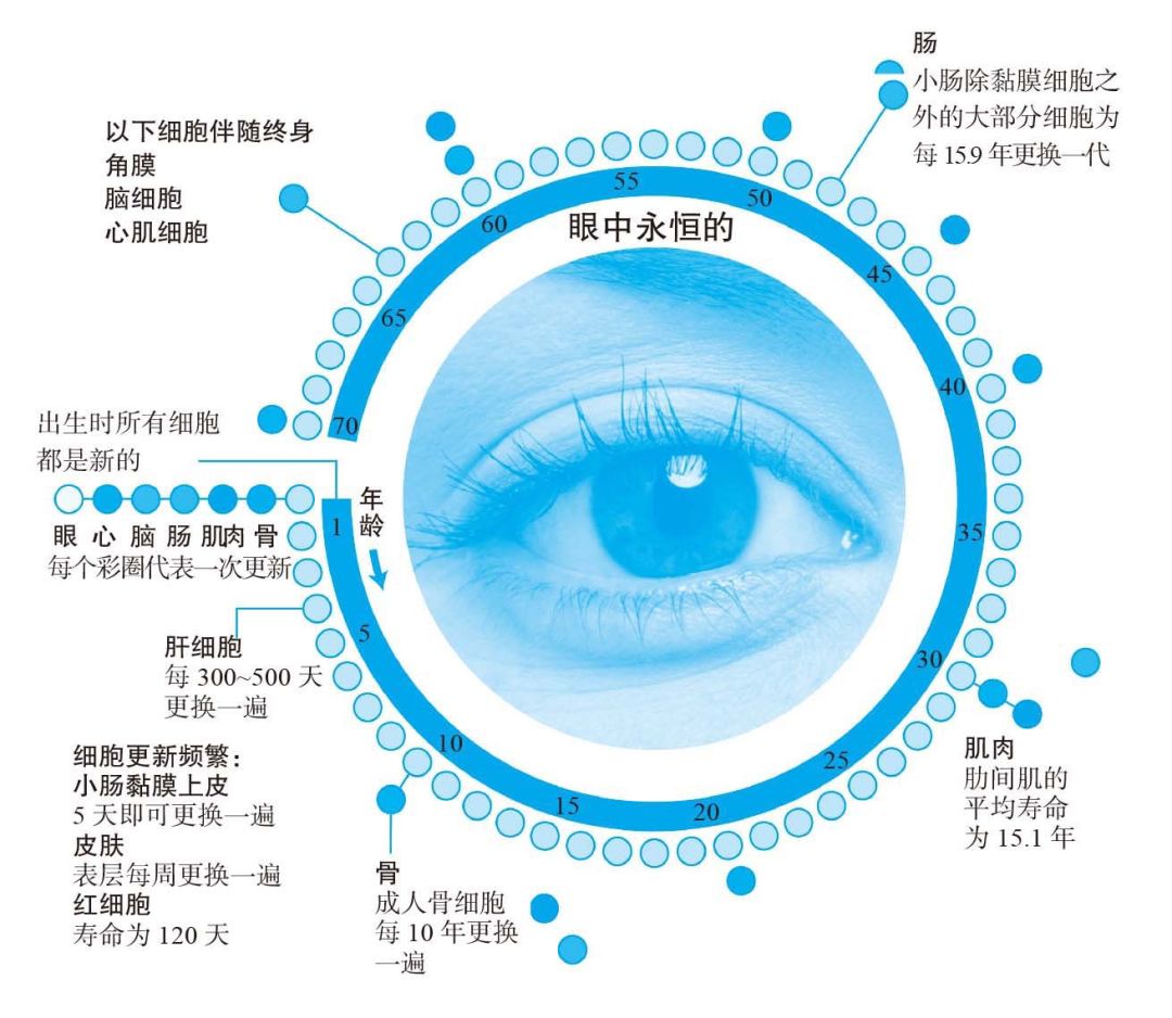 天天養生，為什么還是營養不良，而且全身都是??？