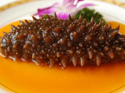 海參有哪些養(yǎng)生功效海參的十大功效