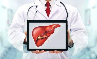 哪些行為會傷肝又有哪些保護肝的藥