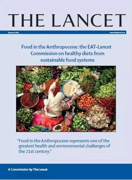 星球健康飲食 了解一下-易網健康養生網 星球健康飲食 了解一下