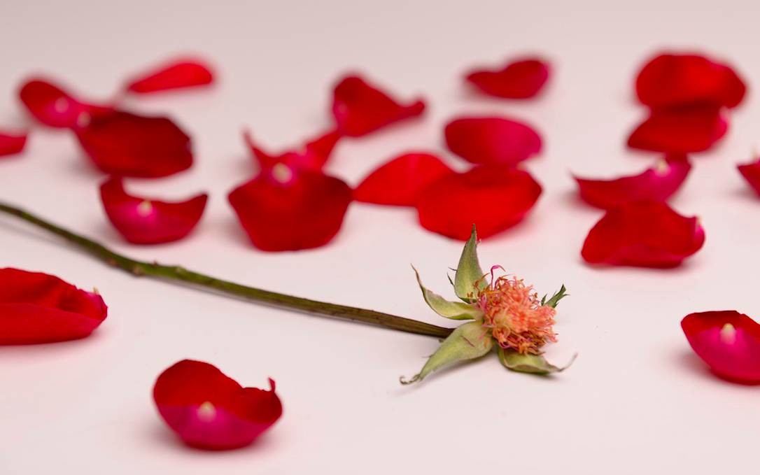 女性比較容易出現氣血虧損的情況-易網健康<a href=http://www.jsjjzhkt.cn/jkys/ target=_blank class=infotextkey>養生</a>網 女性比較容易出現氣血虧損的情況