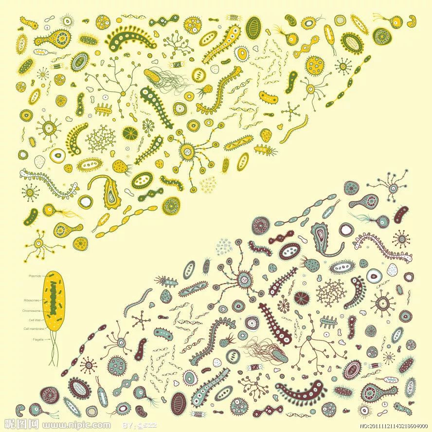 常喝益生菌有利于<a href=http://www.jsjjzhkt.cn/lxbj/ target=_blank class=infotextkey>女性健康</a>-易網(wǎng)健康<a href=http://www.jsjjzhkt.cn/jkys/ target=_blank class=infotextkey>養(yǎng)生</a>網(wǎng) 常喝益生菌有利于女性健康