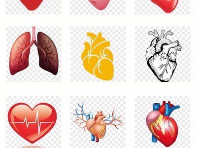 經(jīng)常在早上五點(diǎn)起床內(nèi)臟器官會(huì)不會(huì)受影響