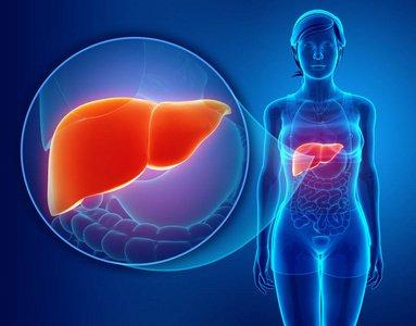 男性肝臟不好具體由哪些方面的表現