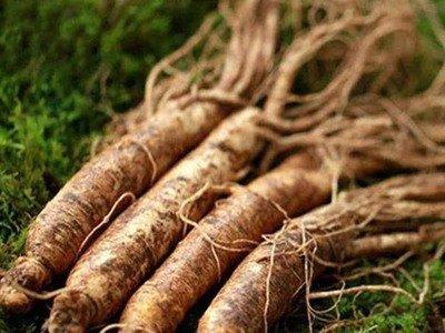 幾個簡單的技巧來區(qū)別人參的真假