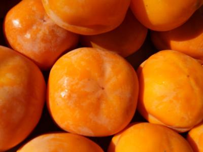 吃柿子有哪些好吃能不能治療痔瘡