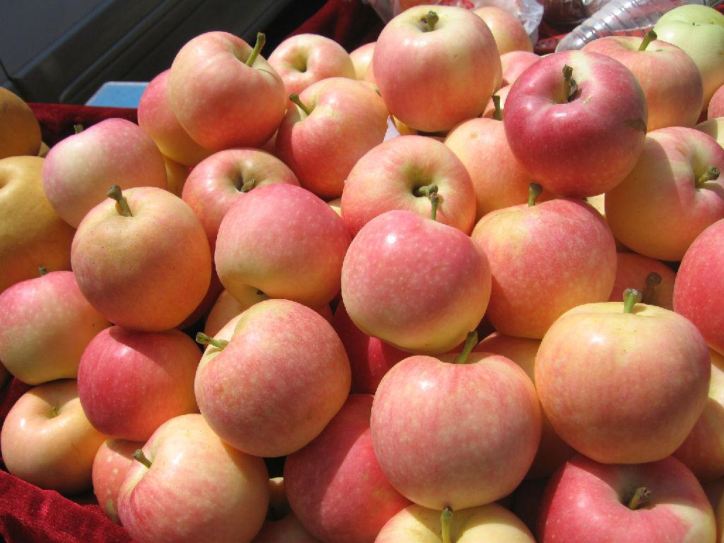 雖然常吃蘋果好處多但是這三種人群不能吃-易網<a href=http://www.jsjjzhkt.cn/ target=_blank class=infotextkey>健康養生</a>網 雖然常吃蘋果好處多但是這三種人群不能吃