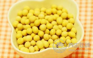 神奇黃豆豐胸瘦身餐-易網健康<a href=http://www.jsjjzhkt.cn/jkys/ target=_blank class=infotextkey>養生</a>網 神奇黃豆豐胸瘦身餐