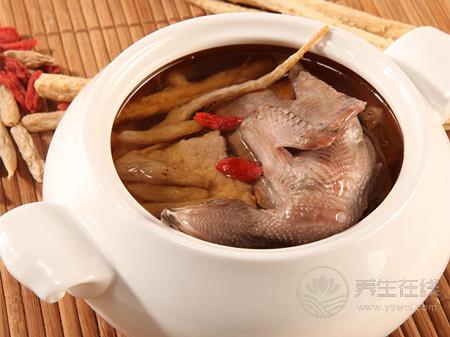 鴿子湯怎么燉最營養 鴿子湯的做法-易網健康養生網 鴿子湯怎么燉最營養 鴿子湯的做法