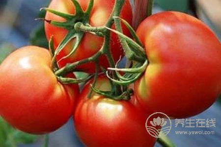 多吃西紅柿有什么好處?西紅柿營養(yǎng)價(jià)值有哪些?-易網(wǎng)健康養(yǎng)生網(wǎng) 多吃西紅柿有什么好處?西紅柿營養(yǎng)價(jià)值有哪些?