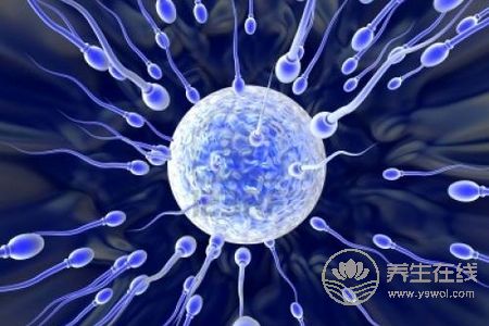 精子有什么好處?精子有什么功效?-易網健康養生網 精子有什么好處?精子有什么功效?