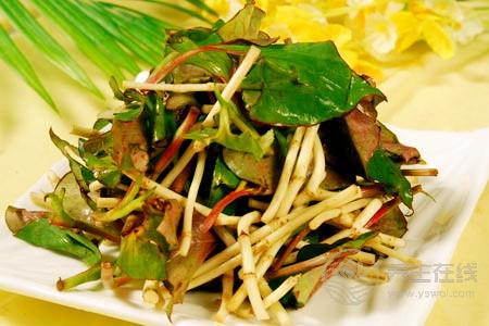 魚腥草減肥小妙招 魚腥草泡水可快速減肥-易網<a href=http://www.jsjjzhkt.cn/ target=_blank class=infotextkey>健康養生</a>網 魚腥草減肥小妙招 魚腥草泡水可快速減肥