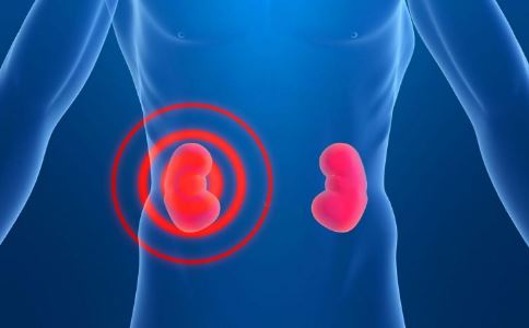 當你的身體出現這些現象代表你的腎臟已透支-易網<a href=http://www.jsjjzhkt.cn/ target=_blank class=infotextkey>健康養生</a>網 當你的身體出現這些現象代表你的腎臟已透支