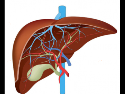 肝臟不好的人早上起床會出現這四個癥狀
