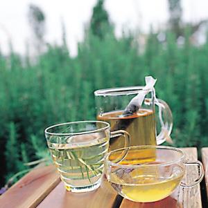 怎樣排毒養顏?怎樣讓體內毒素無法沉積?-易網健康養生網 怎樣排毒養顏?怎樣讓體內毒素無法沉積?