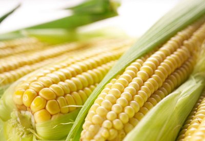 生玉米粒的做法大全玉米粒可以怎么做-易網健康<a href=http://www.jsjjzhkt.cn/jkys/ target=_blank class=infotextkey>養生</a>網 生玉米粒的做法大全玉米粒可以怎么做