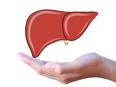 這四種食物平時(shí)多吃飲食養(yǎng)肝不再難