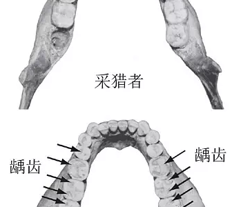 換種吃法更健康：什么是“原始飲食”？