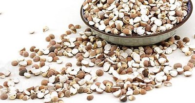 喝祛濕中藥起到祛濕效果時的排濕反應-易網健康<a href=http://www.jsjjzhkt.cn/jkys/ target=_blank class=infotextkey>養生</a>網 喝祛濕中藥起到祛濕效果時的排濕反應