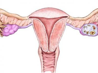 女性有沒有生過孩子究竟有什么不一樣