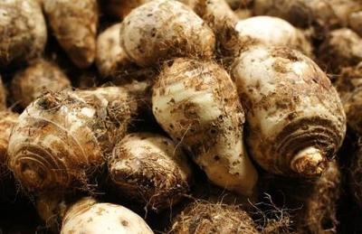 芋頭和哪些食材一起燉著吃營養更好